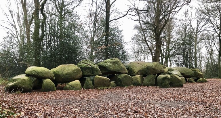foto van Hunebed D27 bij Borger