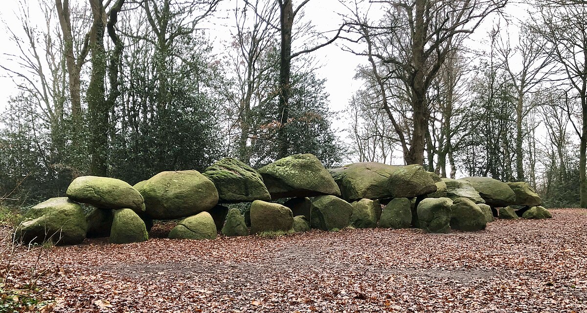 foto van Hunebed D27 bij Borger